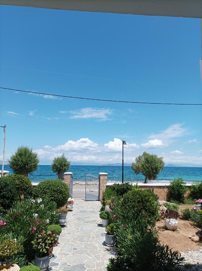 Studios Antoniou Skála Exterior foto